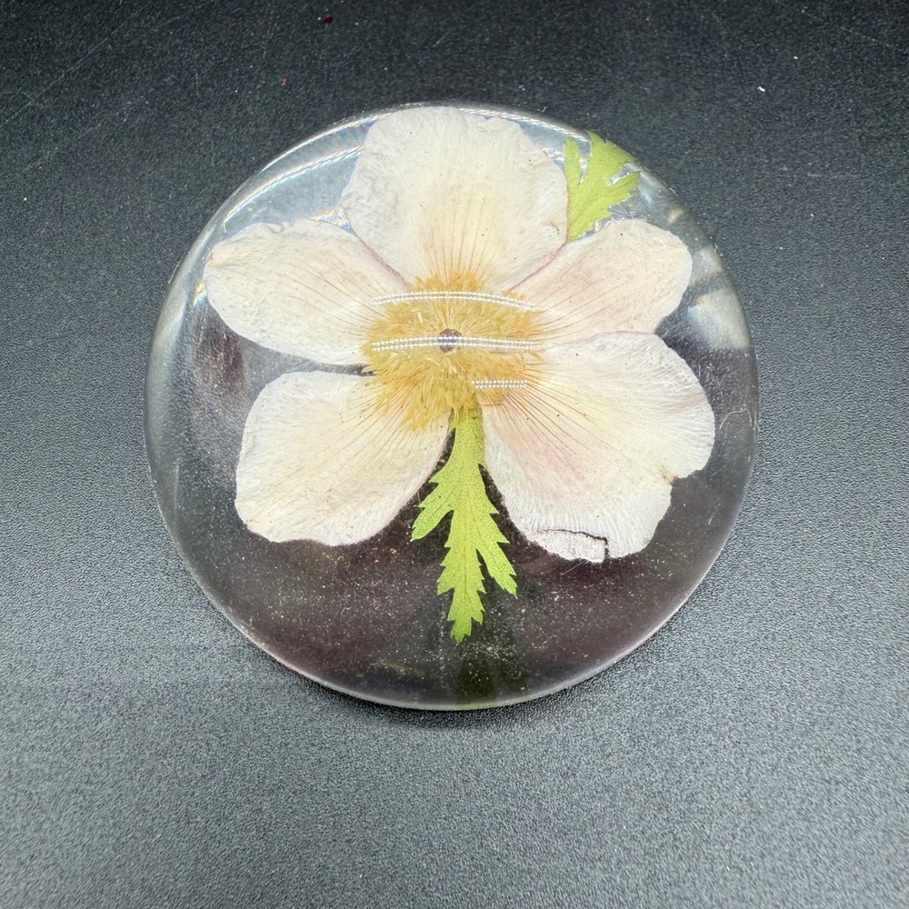 Vintage Resin Paperweight With‎ Pressed Alaskan Wild Rose Inclusion